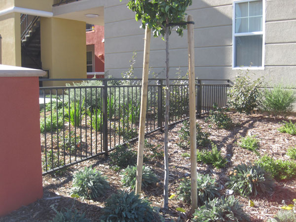 Commercial Iron Fence Malibu