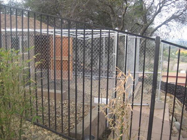 Residentail Iron Fence Malibu