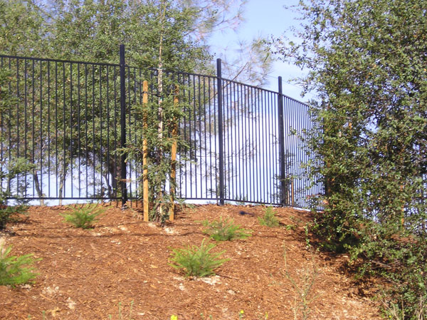 Iron Security Fence Malibu